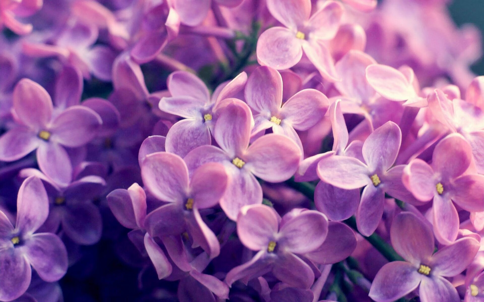 西决生死战之夜，久保建英与凤凰涅槃的神话