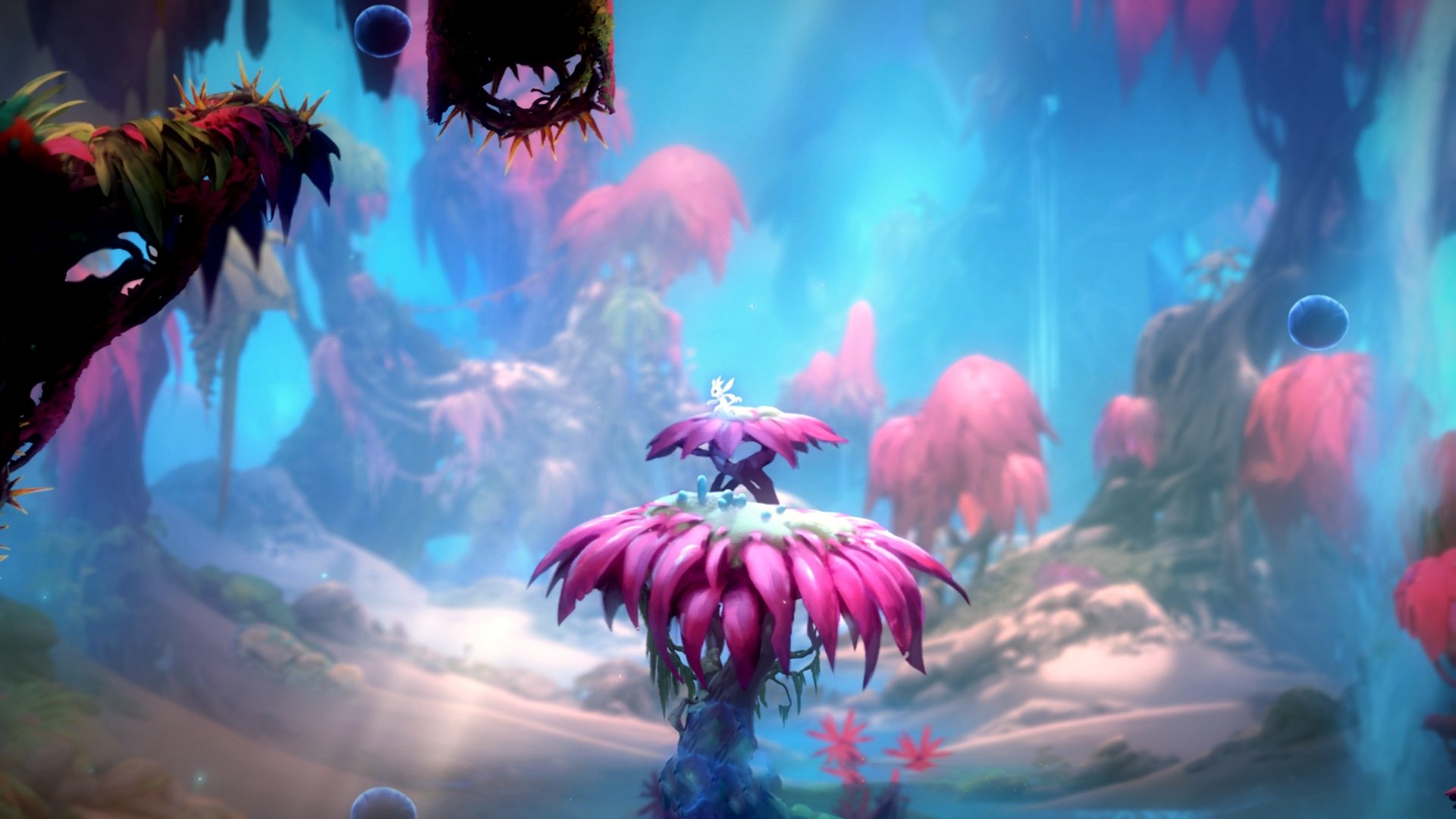 雨夜魔法，福克斯的最后一脚长传