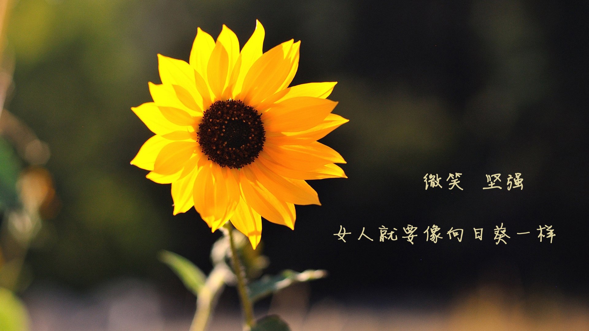 决胜时刻的统治力，从NBA总决赛到绿茵场，解析碾压局的共性基因