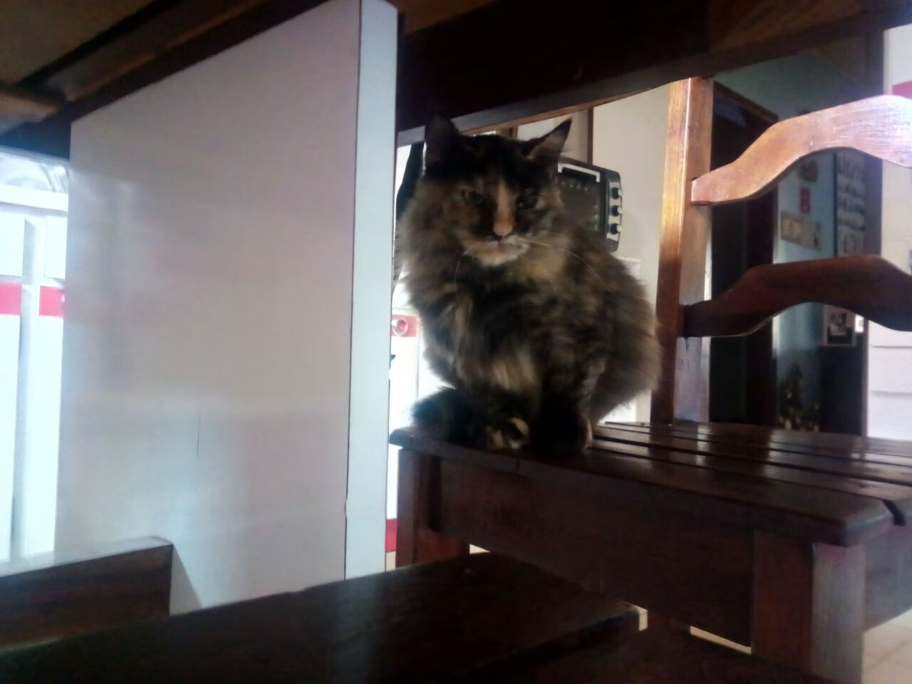 逆袭之夜，马刺用齿轮战术绞碎篮网独角戏