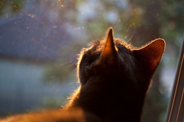 世纪碰撞，乌拉圭速胜皇马，法比尼奥在年度焦点之战接管比赛
