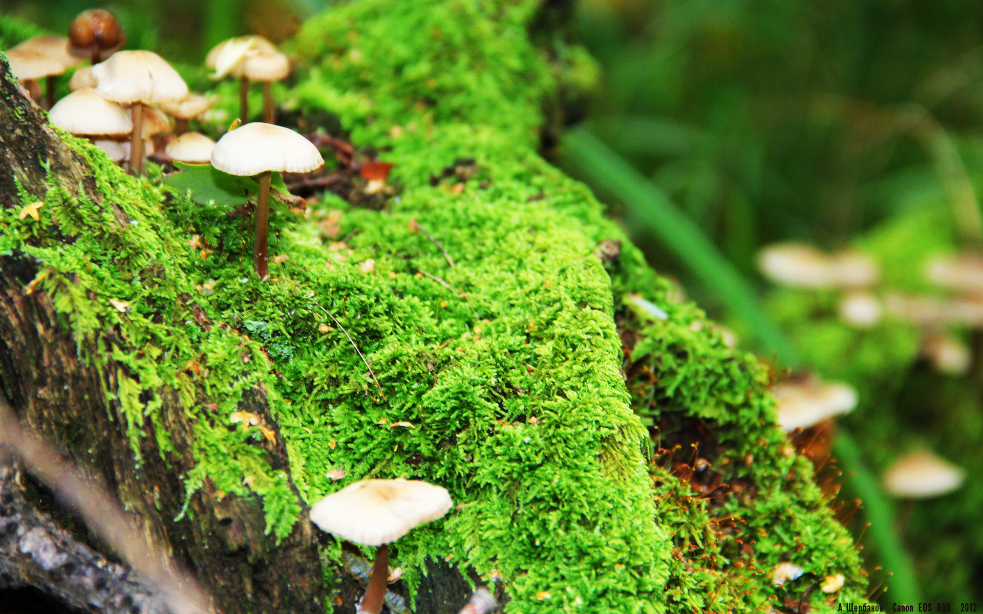 跨界之王征服街头，当杜兰特的方向盘如手术刀般精准