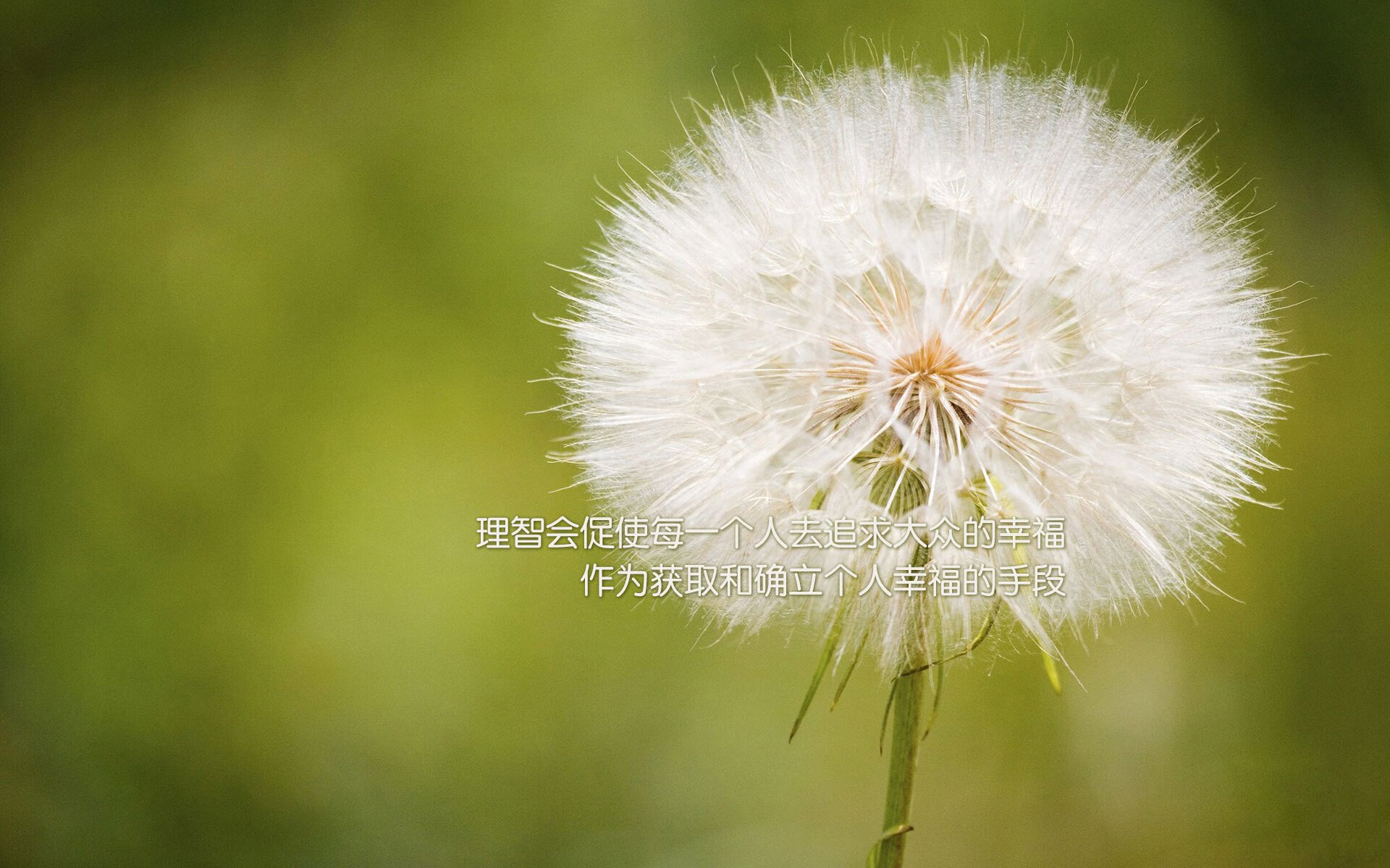 开云体育官网-布克狂飙60分诠释速度艺术，红色禁区上演F1式终极超车