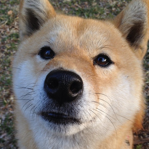 新雷霆的东方课堂，爱德华兹在沪上焦点战证明自己