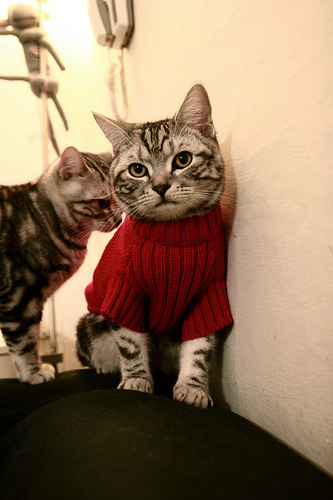 烈焰焚天，新星破云—热火全面压制太阳，切特逆境爆发证身价