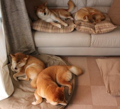 棋手与棋盘，当杰伦·格林以节奏为刃，切割骑士与国王的喧嚣