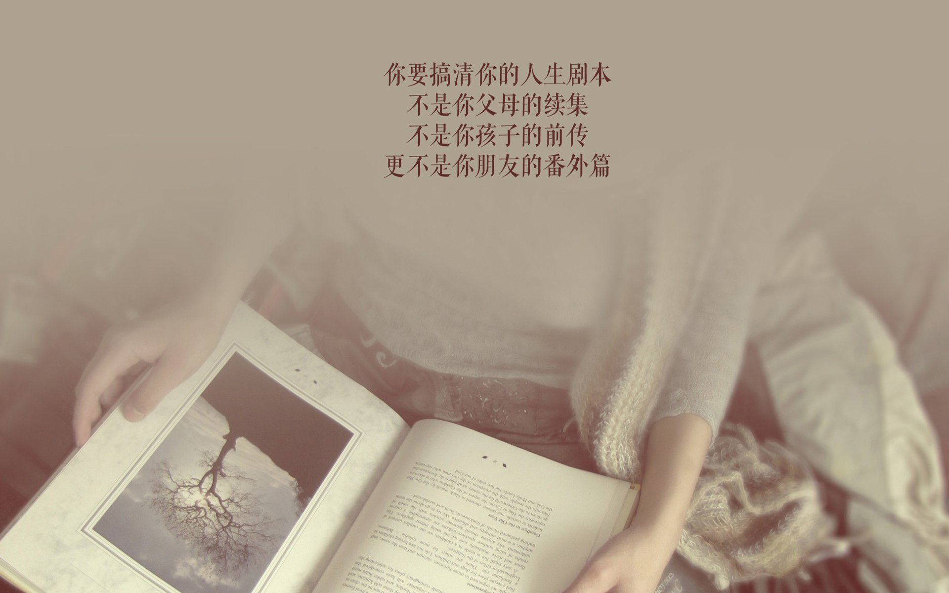 冰与火之歌，当北欧战斧劈开蓝黑闪电—2026世界杯G组挪威胜瑞典，巴雷拉定义唯一