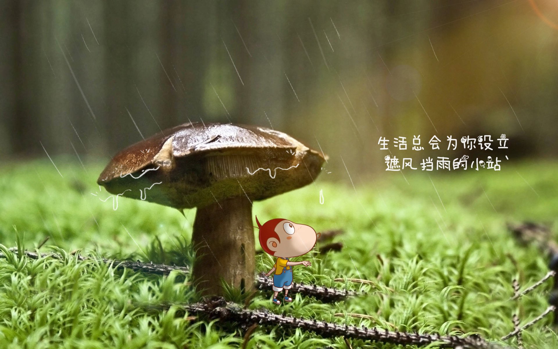 冰与火之歌,索菲亚的钢铁防线,如何点燃桑巴的逆转之魂?