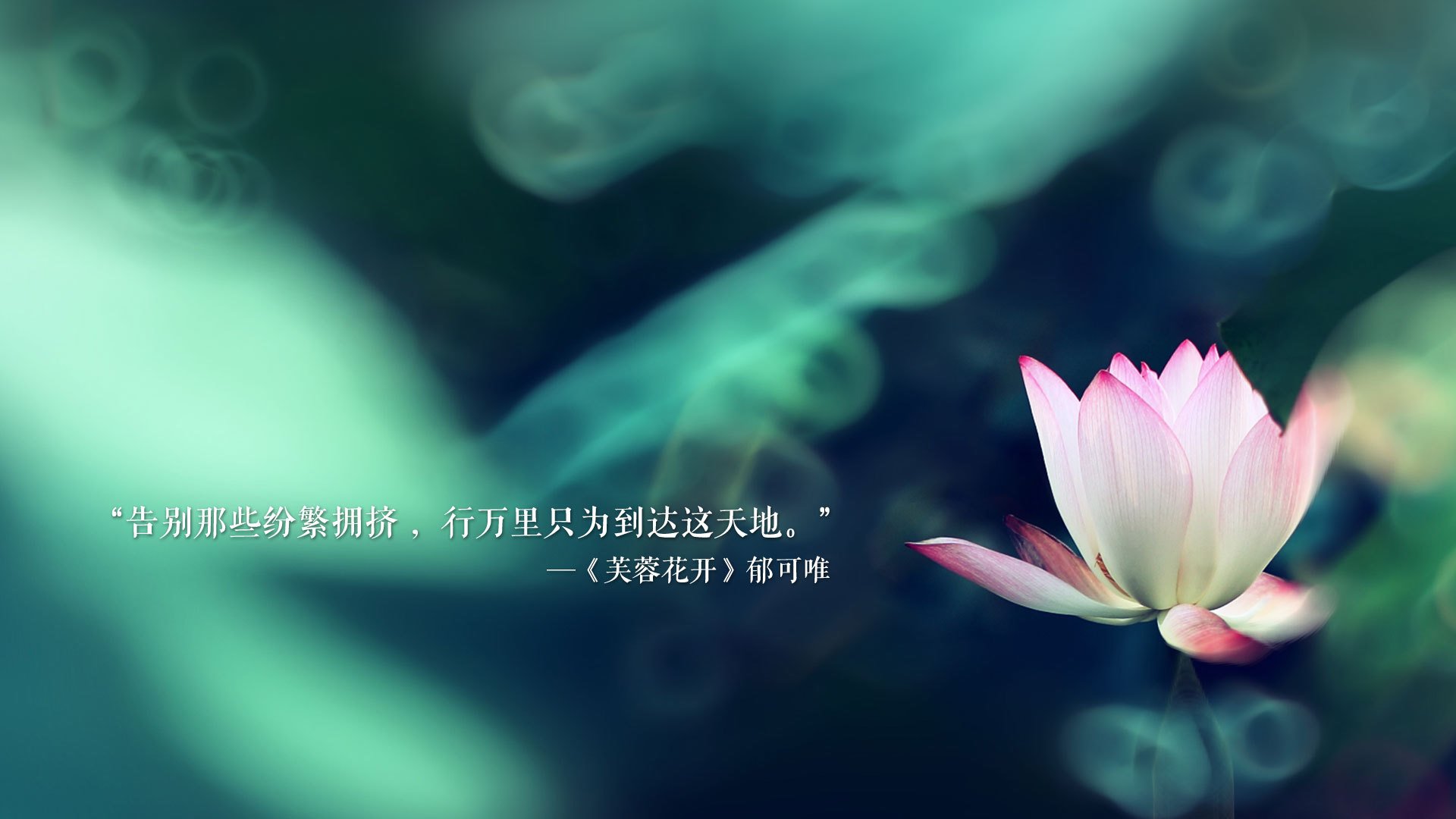 被遗忘的剧本，努涅斯在2026年世界杯H组的最后一舞，如何用一场险胜重新定义孤胆英雄