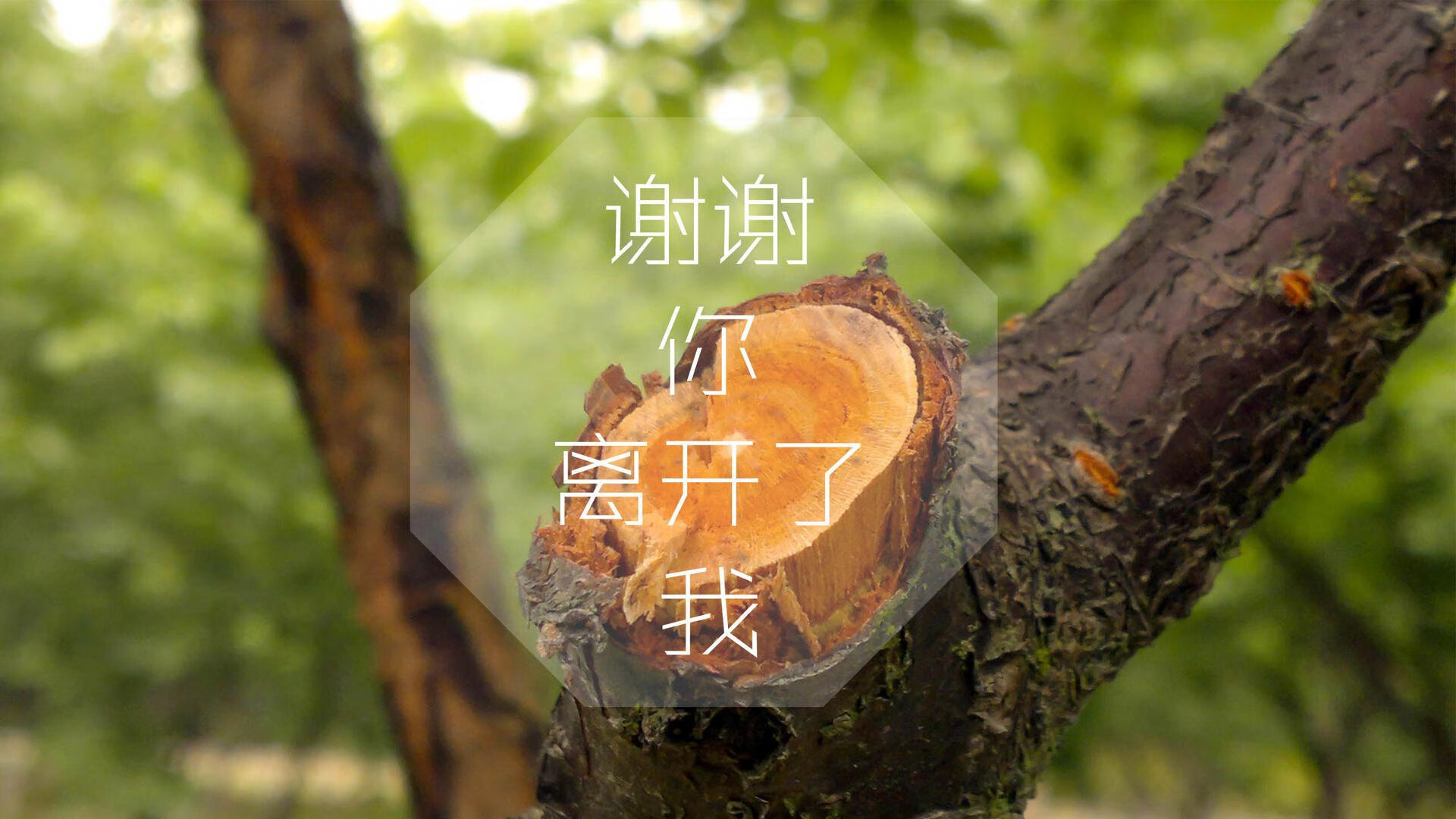 太极虎啸巴黎,迪亚斯,那把唯一刺穿高卢雄鸡心脏的混血利刃